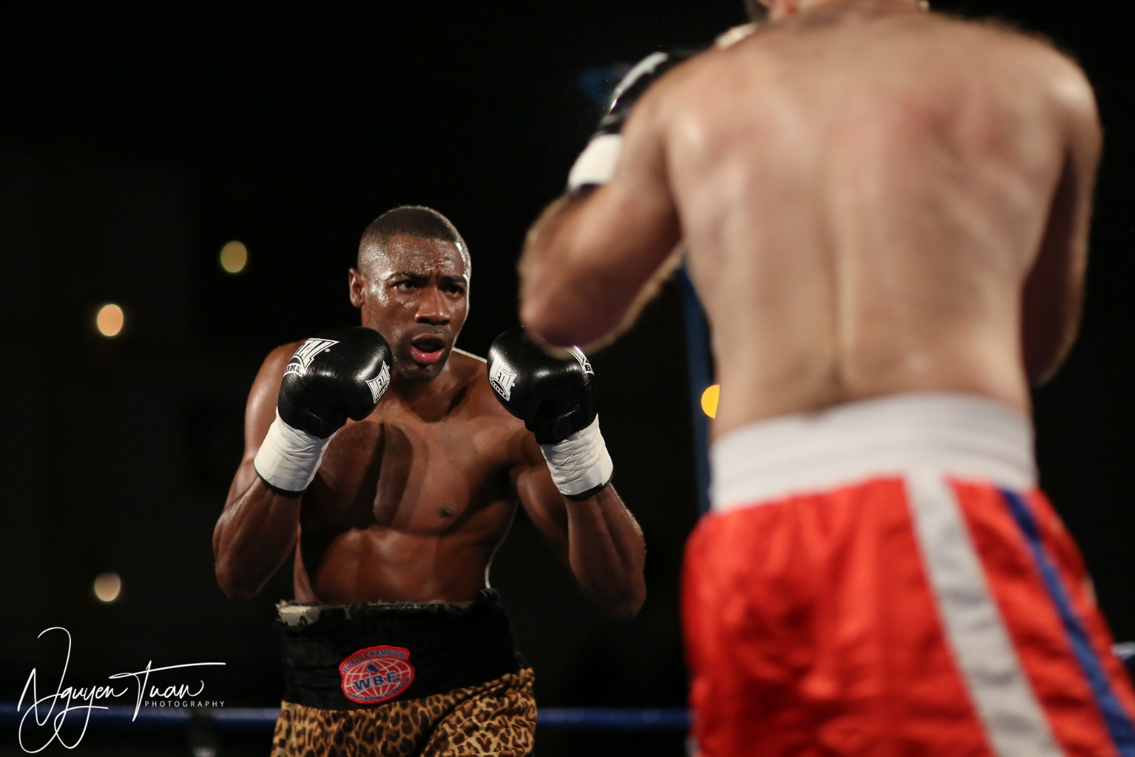 Gala Boxe  24112018   3782